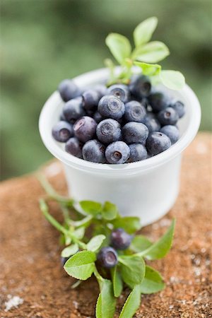 Blueberries in plastic tub Stock Photo - Premium Royalty-Free, Code: 659-01866264