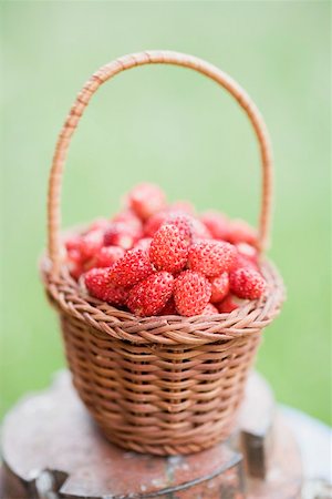 strawberries many - Wild strawberries in basket Stock Photo - Premium Royalty-Free, Code: 659-01866276