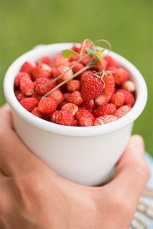 simsearch:659-01866279,k - Hand holding tub of wild strawberries Stock Photo - Premium Royalty-Free, Code: 659-01866278