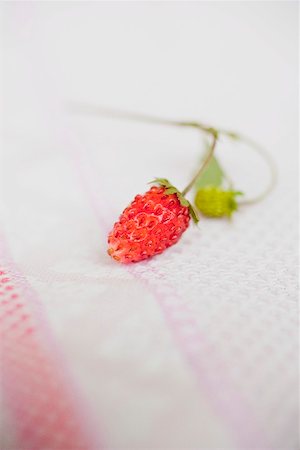 Wild strawberry on tea towel Stock Photo - Premium Royalty-Free, Code: 659-01866279