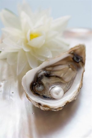 Fresh oyster with pearl, white water lily behind Stock Photo - Premium Royalty-Free, Code: 659-01866531