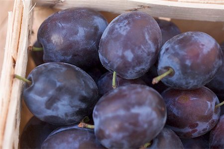 prunus domestica - Fresh plums in woodchip basket Foto de stock - Sin royalties Premium, Código: 659-01866575