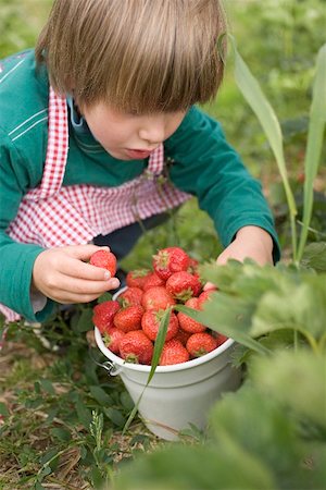 simsearch:659-01866601,k - Child with bucket full of strawberries in garden Foto de stock - Royalty Free Premium, Número: 659-01866599