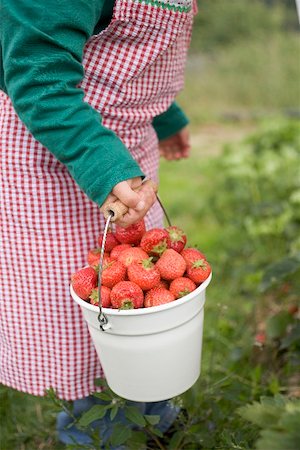 simsearch:659-01866601,k - Child holding bucket of strawberries in garden Foto de stock - Royalty Free Premium, Número: 659-01866600