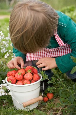 simsearch:659-03529776,k - Child with bucket full of strawberries in garden Stock Photo - Premium Royalty-Free, Code: 659-01866601