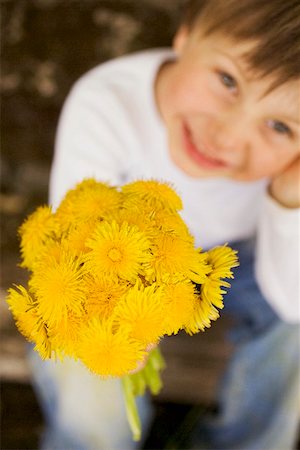Child holding bunch of dandelions Stock Photo - Premium Royalty-Free, Code: 659-01866754