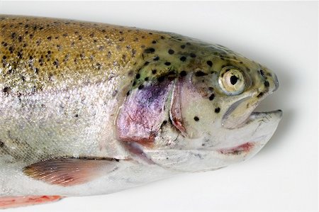 escama - Salmon trout (head) Foto de stock - Sin royalties Premium, Código: 659-01866856