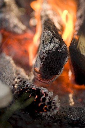 Camp-fire (close-up) Foto de stock - Sin royalties Premium, Código: 659-01867158