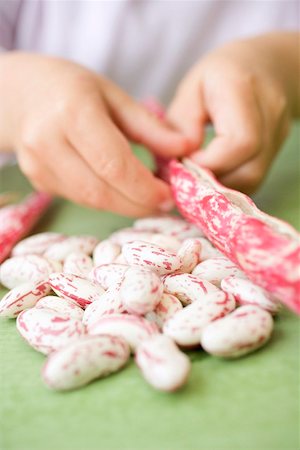 simsearch:659-01853700,k - Child's hands shelling borlotti beans Stock Photo - Premium Royalty-Free, Code: 659-01867233