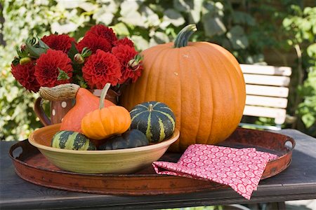 pumpkin still - Pumpkins, squashes and flowers on table in the open air Stock Photo - Premium Royalty-Free, Code: 659-01860157