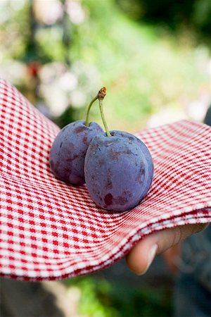 simsearch:659-01858102,k - Hand holding two plums on checked cloth Stock Photo - Premium Royalty-Free, Code: 659-01860160