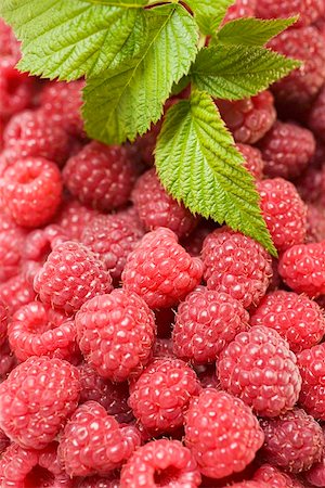 raspberry leaf - Raspberries with leaves (full- frame) Stock Photo - Premium Royalty-Free, Code: 659-01861015