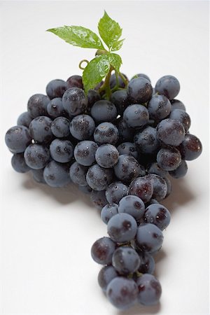 simsearch:659-01854260,k - Black grapes with leaf Fotografie stock - Premium Royalty-Free, Codice: 659-01861057