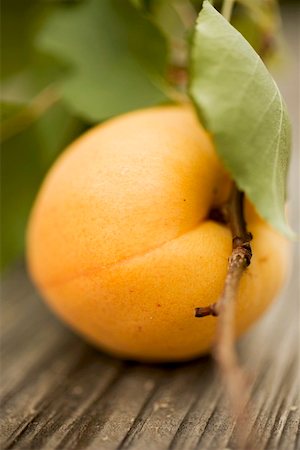 Apricot with leaves Stock Photo - Premium Royalty-Free, Code: 659-01861104