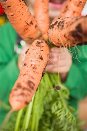 dirty hands kids - Enfant tenant un bouquet de carottes Photographie de stock - Premium Libres de Droits, Code: 659-01861108