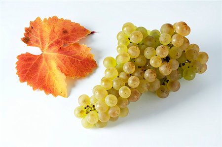 simsearch:659-01861229,k - Green grapes, variety Gutedel, with leaf Stock Photo - Premium Royalty-Free, Code: 659-01861206
