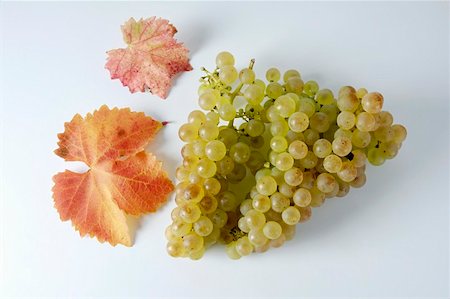 simsearch:659-01861229,k - Green grapes, variety Gutedel, with leaves Stock Photo - Premium Royalty-Free, Code: 659-01861207