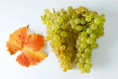 simsearch:659-01861229,k - Green grapes, variety Gutedel, with leaf Stock Photo - Premium Royalty-Free, Code: 659-01861203