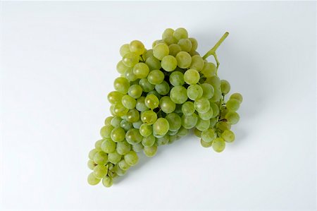 simsearch:659-01861229,k - Green grapes, variety Précoce de Malingre Stock Photo - Premium Royalty-Free, Code: 659-01861214