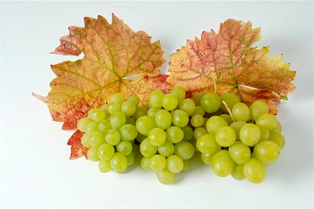 simsearch:659-01861229,k - Green grapes, variety Queen of the Vineyard, with leaves Stock Photo - Premium Royalty-Free, Code: 659-01861220