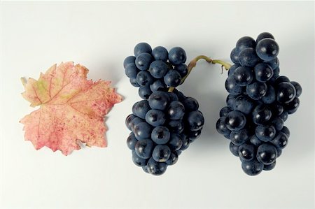 simsearch:659-01861229,k - Black grapes, variety Domina, with leaf Stock Photo - Premium Royalty-Free, Code: 659-01861221