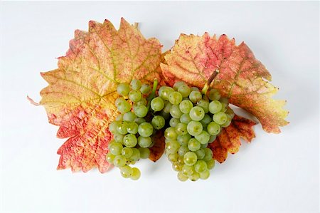 simsearch:659-01861229,k - Green grapes, variety Ehrenfelser with leaves Stock Photo - Premium Royalty-Free, Code: 659-01861234