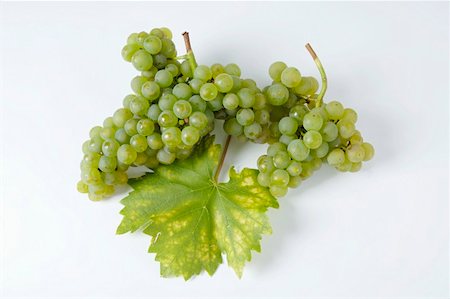simsearch:659-01861229,k - Green grapes, variety Rieslaner, with leaf Stock Photo - Premium Royalty-Free, Code: 659-01861236