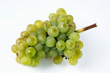 simsearch:659-01861229,k - Green grapes, variety Ehrenfelser Stock Photo - Premium Royalty-Free, Code: 659-01861233