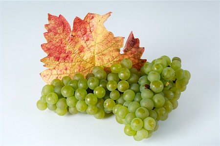 simsearch:659-01861229,k - Green grapes, variety Weisser Gutedel, with leaf Stock Photo - Premium Royalty-Free, Code: 659-01861245