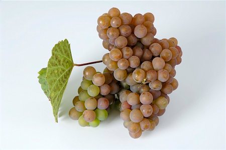 simsearch:659-01854260,k - Grapes, variety Traminer, with leaf Fotografie stock - Premium Royalty-Free, Codice: 659-01861254