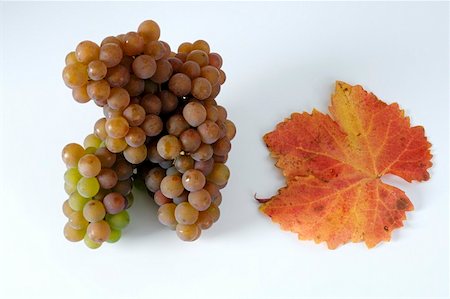 simsearch:659-01854260,k - Grapes, variety Traminer, with leaf Fotografie stock - Premium Royalty-Free, Codice: 659-01861255