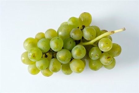simsearch:659-01861229,k - Green grapes, variety Müller-Thurgau Stock Photo - Premium Royalty-Free, Code: 659-01861251