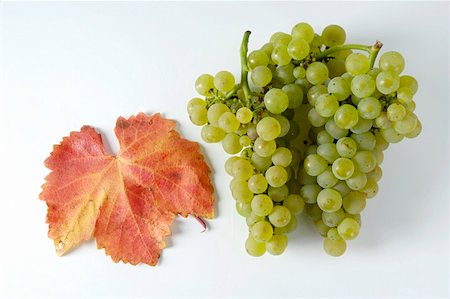 simsearch:659-01861229,k - Green grapes, variety Chardonnay Stock Photo - Premium Royalty-Free, Code: 659-01861262