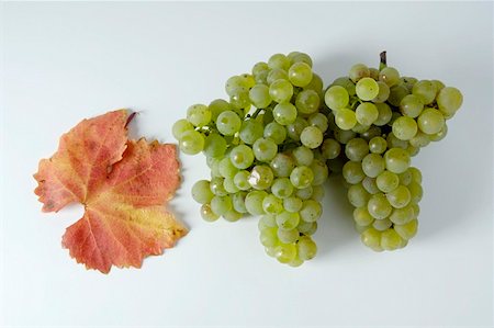 simsearch:659-01861229,k - Green grapes, variety Scheurebe, with leaf Stock Photo - Premium Royalty-Free, Code: 659-01861263