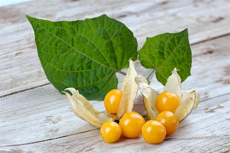 simsearch:659-01865636,k - Cape gooseberries with leaves on wooden background Stock Photo - Premium Royalty-Free, Code: 659-01861274