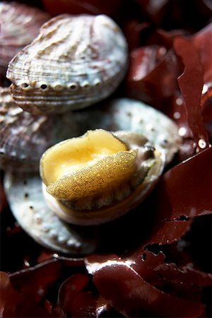 Abalone (sea snail) with seaweed Stock Photo - Premium Royalty-Free, Code: 659-01861375