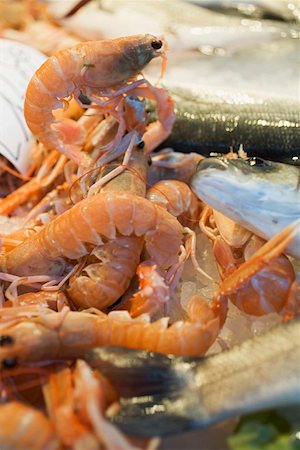simsearch:659-01853208,k - Shrimps and fish at a market Stock Photo - Premium Royalty-Free, Code: 659-01861684