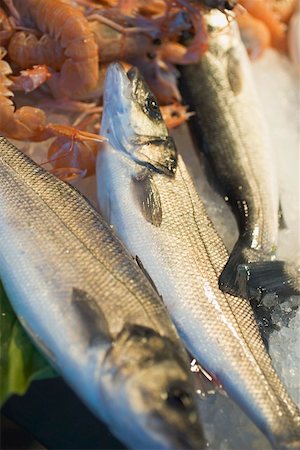 simsearch:659-01853208,k - Fresh salmon and shrimps at a market Stock Photo - Premium Royalty-Free, Code: 659-01861685