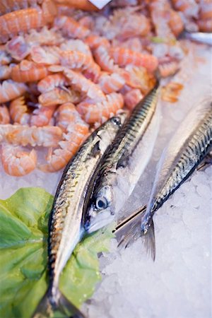 simsearch:659-01861719,k - Fresh anchovies and shrimps at a market Foto de stock - Sin royalties Premium, Código: 659-01861688