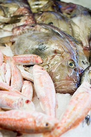 Red mullet and sea bream at a market Stock Photo - Premium Royalty-Free, Code: 659-01861698