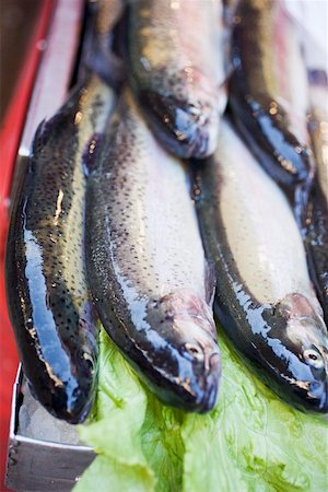 pescivendolo (negozio) - Fresh trout at a market Fotografie stock - Premium Royalty-Free, Codice: 659-01861692