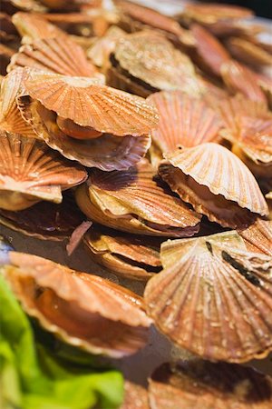 scallops - Scallops at a market Stock Photo - Premium Royalty-Free, Code: 659-01861693