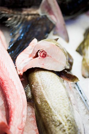 simsearch:659-01861719,k - Fresh fish on a market stall Foto de stock - Sin royalties Premium, Código: 659-01861711