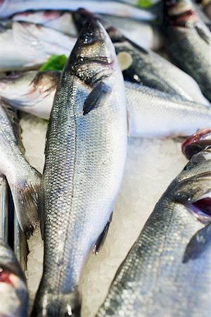 pescivendolo (negozio) - Fresh salmon on ice Fotografie stock - Premium Royalty-Free, Codice: 659-01861712
