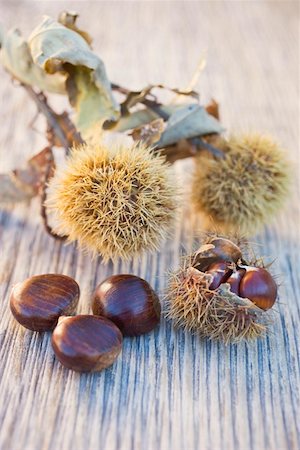 simsearch:659-01861934,k - Chestnuts on wooden table Foto de stock - Royalty Free Premium, Número: 659-01861868