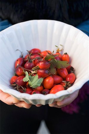 simsearch:659-01861934,k - Hands holding a dish of rose hips Foto de stock - Royalty Free Premium, Número: 659-01861937