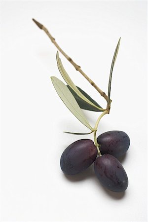 Olives noires sur une brindille sur fond blanc Photographie de stock - Premium Libres de Droits, Code: 659-01861967