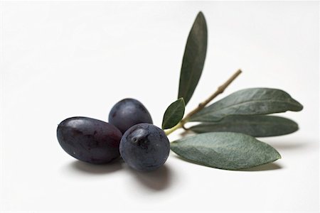 Brin d'olive aux olives noires sur fond blanc Photographie de stock - Premium Libres de Droits, Code: 659-01861968