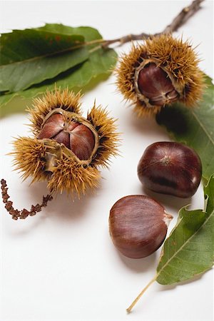 simsearch:659-01861934,k - Sweet chestnuts with leaves Foto de stock - Royalty Free Premium, Número: 659-01861961