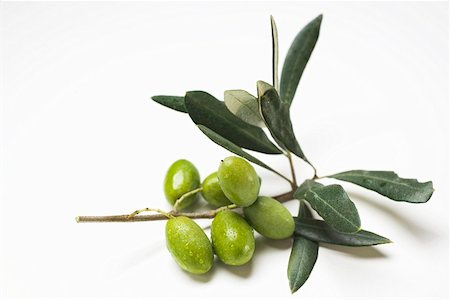 simsearch:659-02211094,k - Brin d'olive aux olives vertes Photographie de stock - Premium Libres de Droits, Code: 659-01861972
